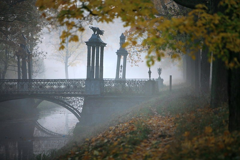 fog over catherine park in tsarskoye selo